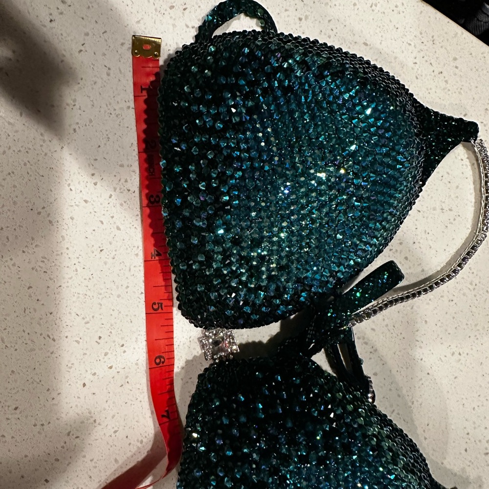 Competition Bikini - Picture 6 of 7